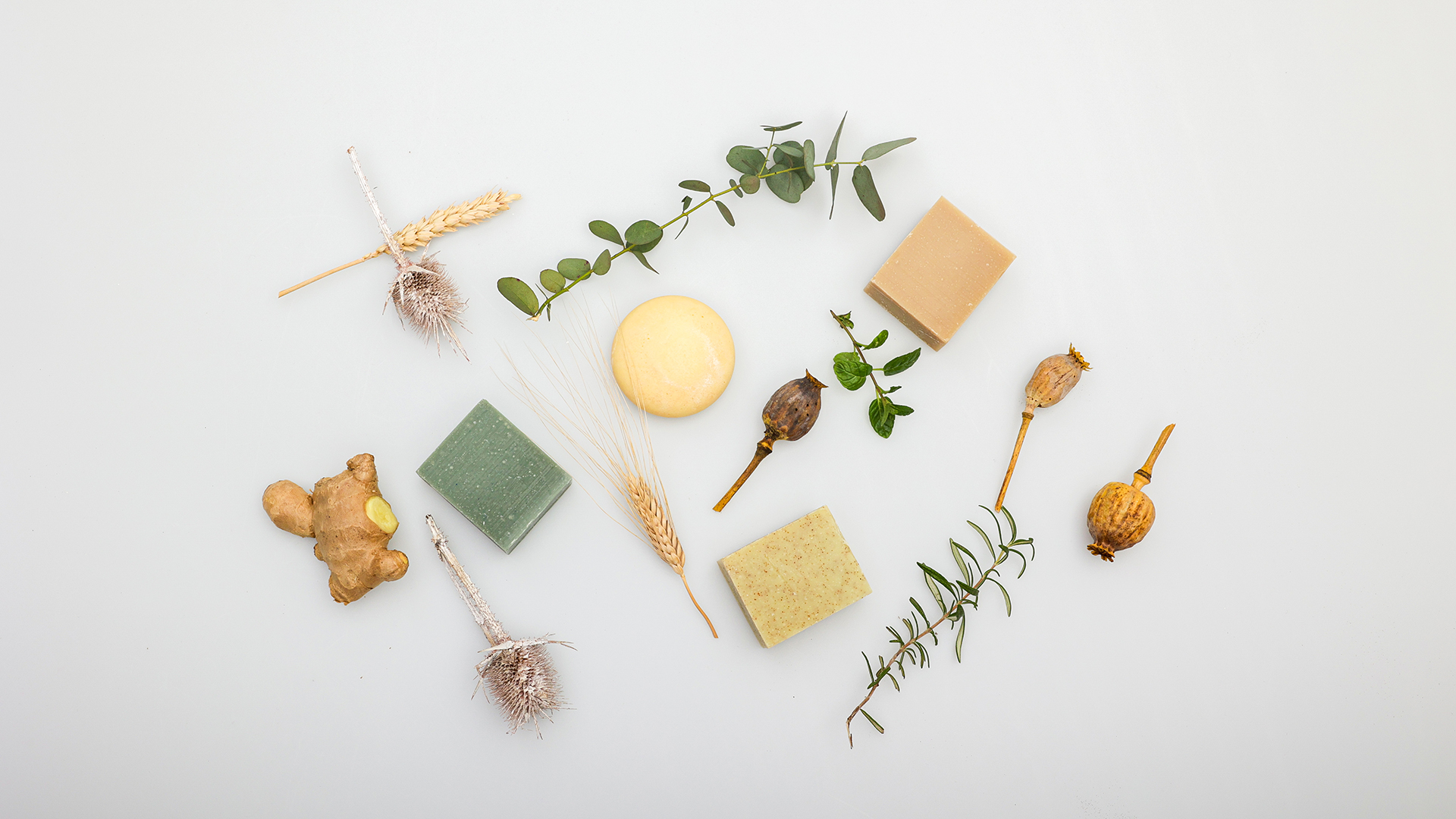 ChiVa ed i suoi ingredienti: Olio di cocco