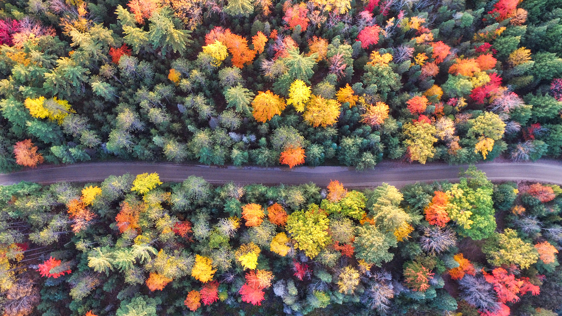 AH L'AUTUNNO !!!